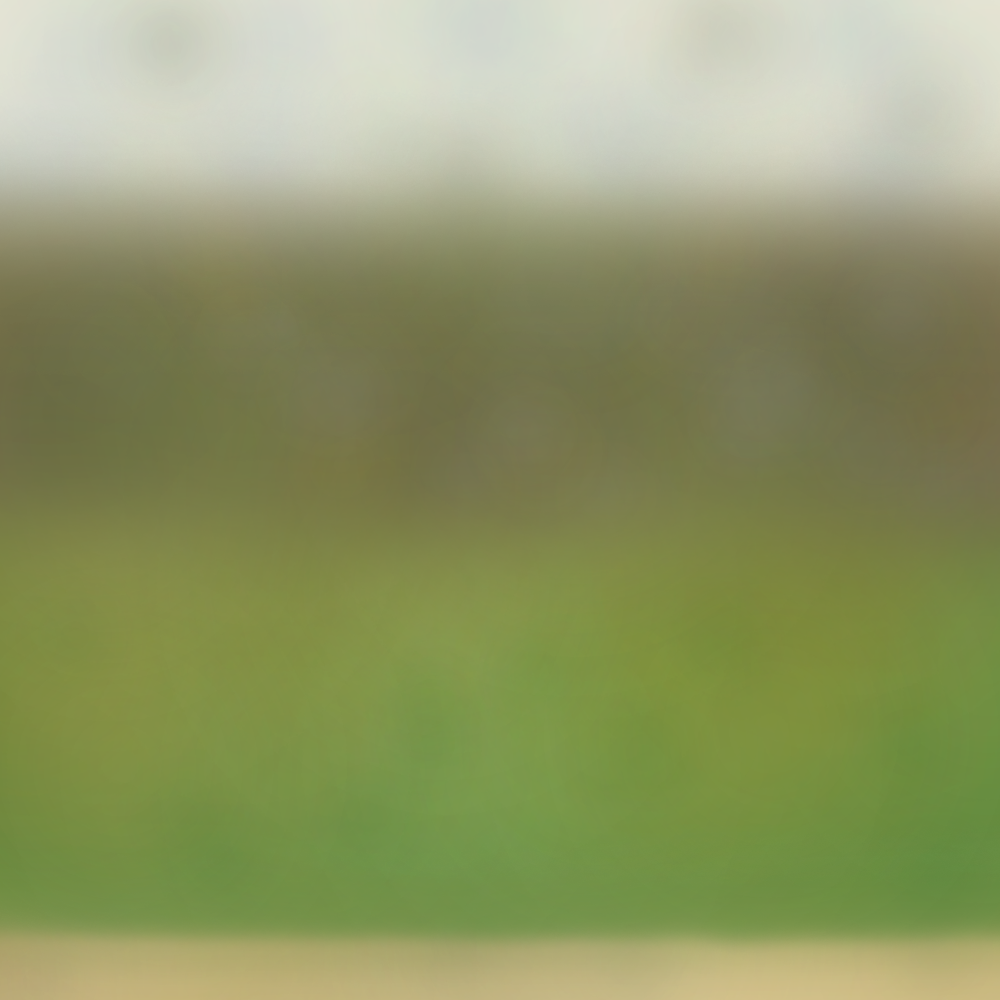 TerrainBlur.png